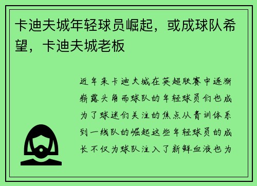 卡迪夫城年轻球员崛起，或成球队希望，卡迪夫城老板